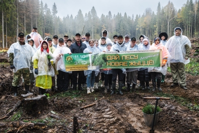 Минтранс присоединился к инициативе по восстановлению лесов «Дай лесу новае жыцце!»