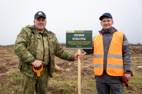 Employees of the central office of the Ministry of Transport, headed by Minister Alexey Lyakhnovich, took part in the national campaign “Give new life to the forest!”